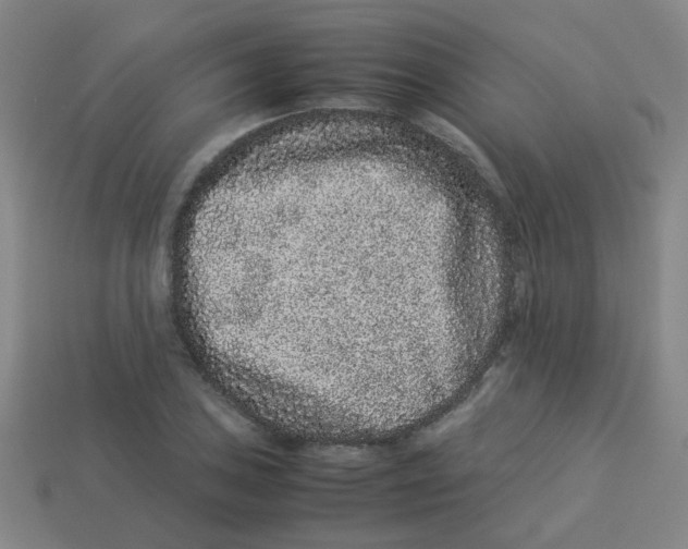 X0000113241027200910081253