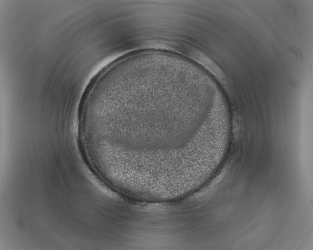 X0000113241028200910081253