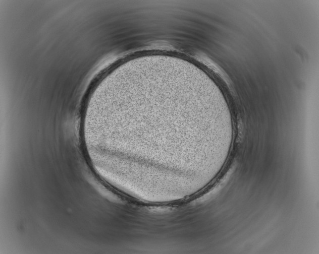X0000113241029200910081253
