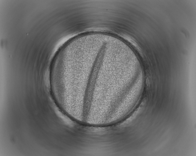X0000113241030200910081253