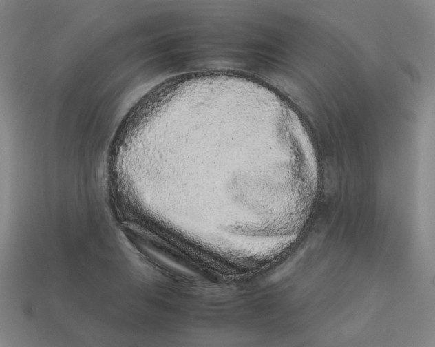 X0000113241031200910081253