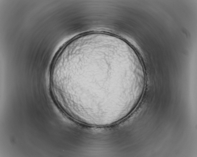 X0000113241032200910081253
