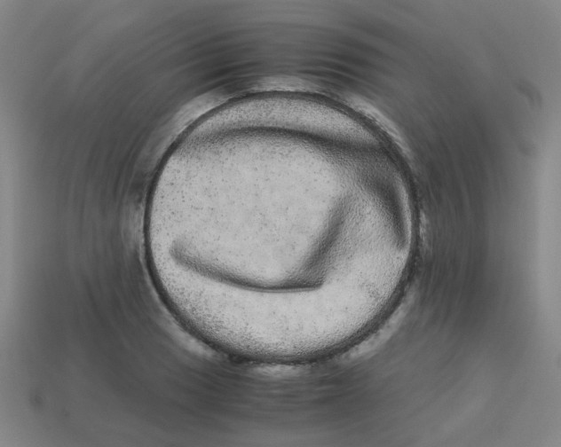 X0000113241033200910081254