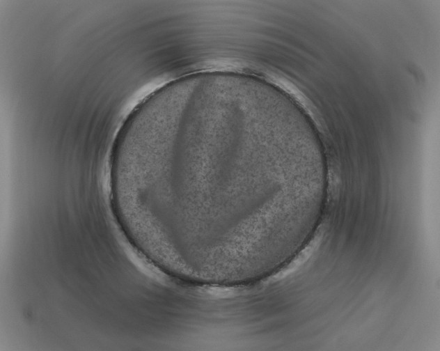 X0000113241034200910081254