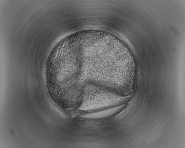 X0000113241035200910081254