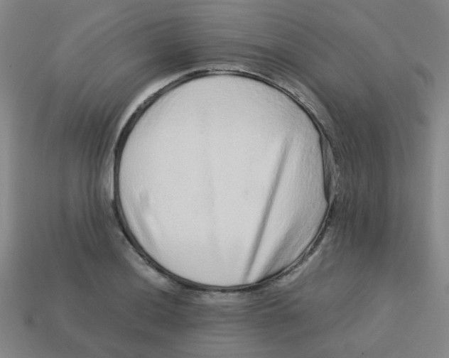 X0000113241036200910081254