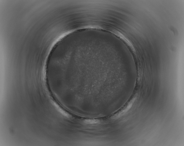 X0000113241037200910081254