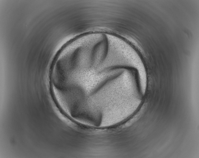 X0000113241038200910081254