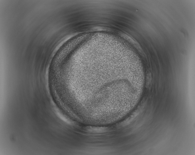 X0000113241039200910081254