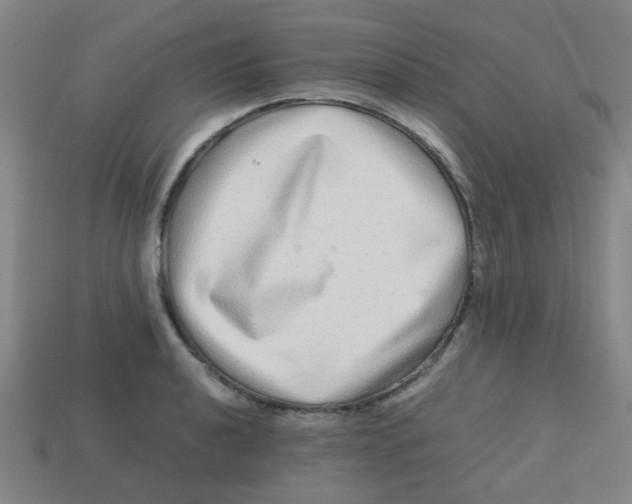 X0000113241040200910081254
