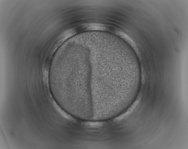 X0000113241041200910081254