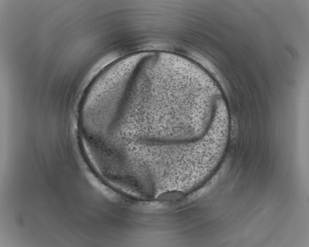 X0000113241042200910081254