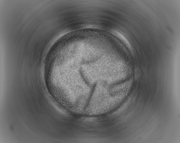 X0000113241043200910081254
