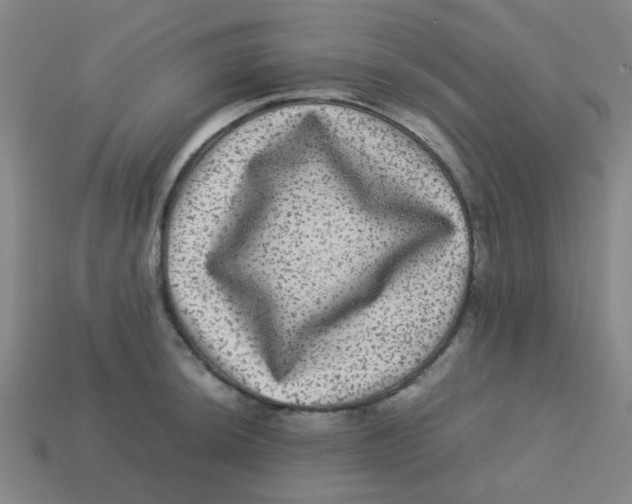 X0000113241044200910081254