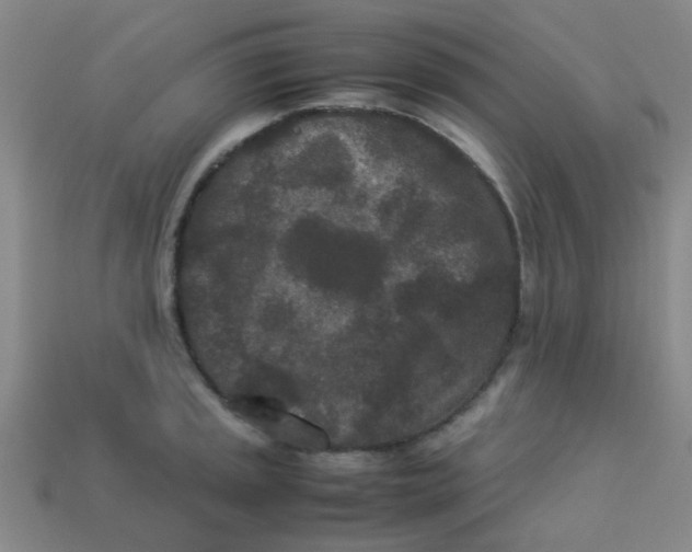 X0000113241045200910081254