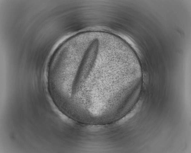 X0000113241046200910081254