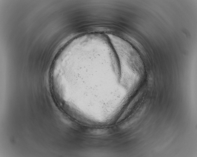 X0000113241047200910081254