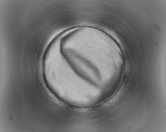 X0000113241048200910081254