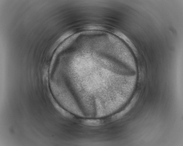 X0000113241049200910081254