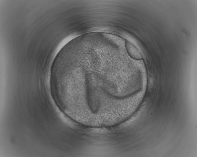 X0000113241050200910081254