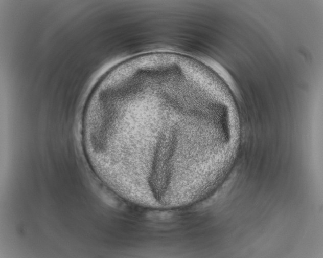 X0000113241051200910081254