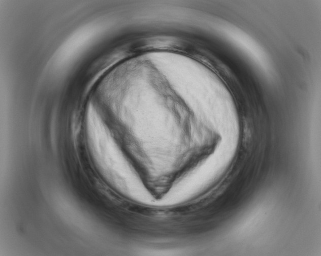 X0000113241052200910081254