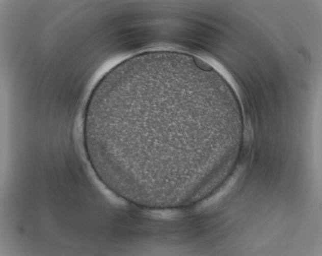 X0000113241053200910081254