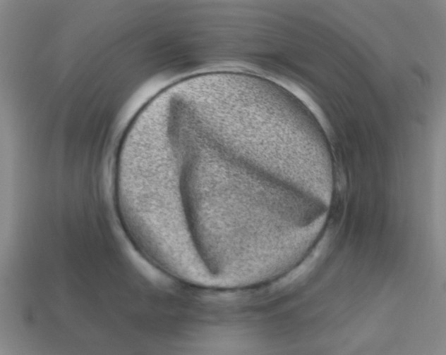 X0000113241054200910081254