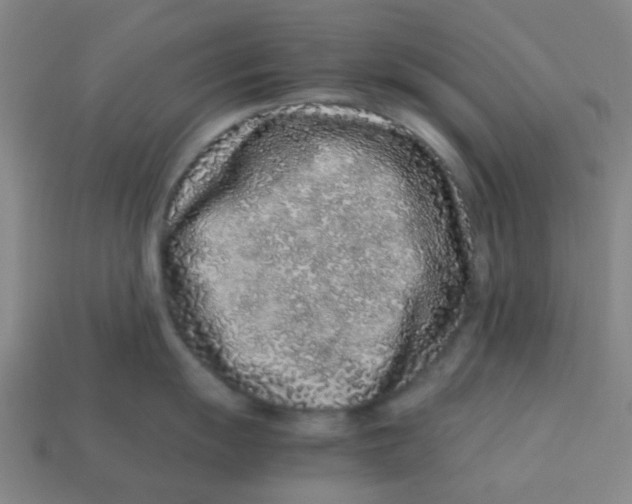 X0000113241055200910081254