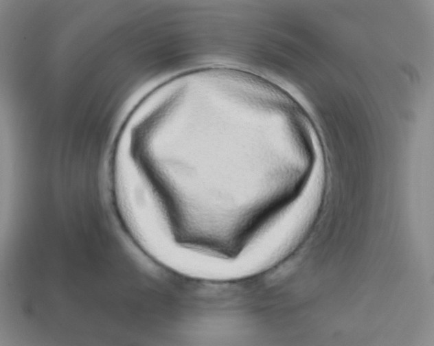 X0000113241056200910081254