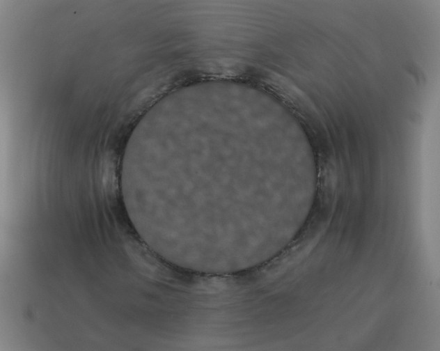 X0000113241058200910081253
