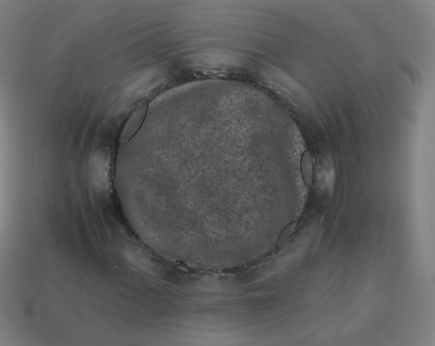 X0000113241060200910081253