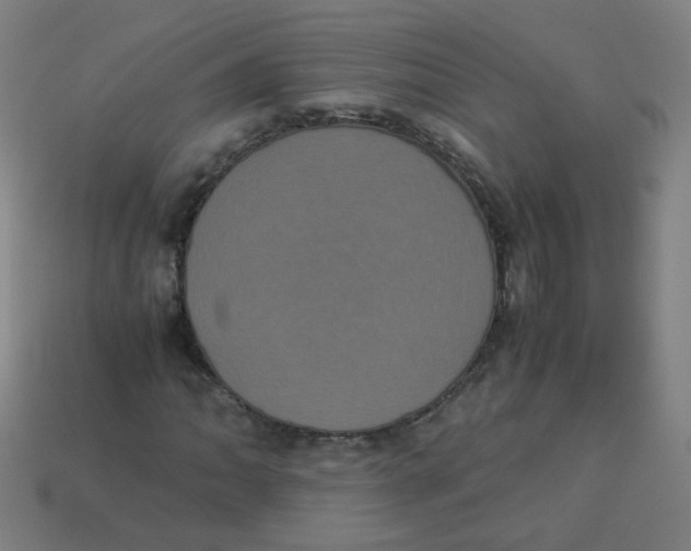 X0000113241062200910081253
