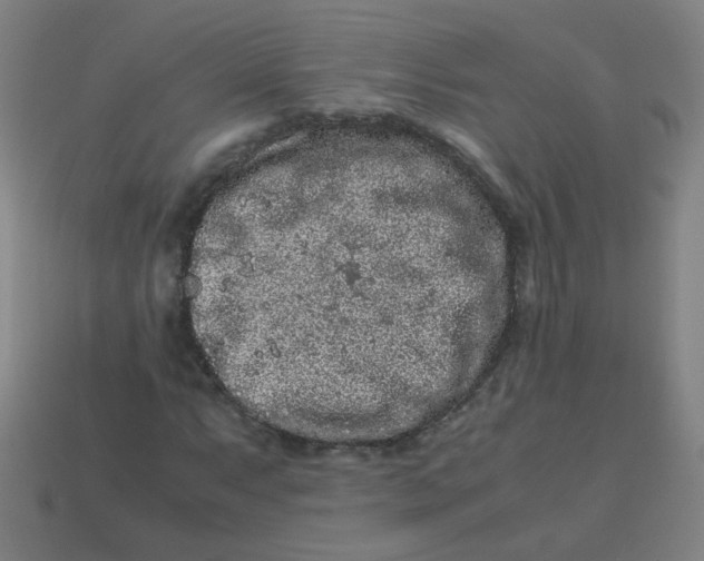 X0000113241063200910081253