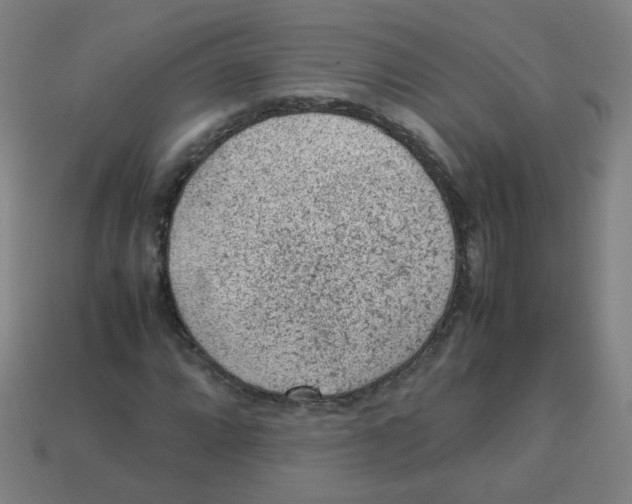 X0000113241064200910081253