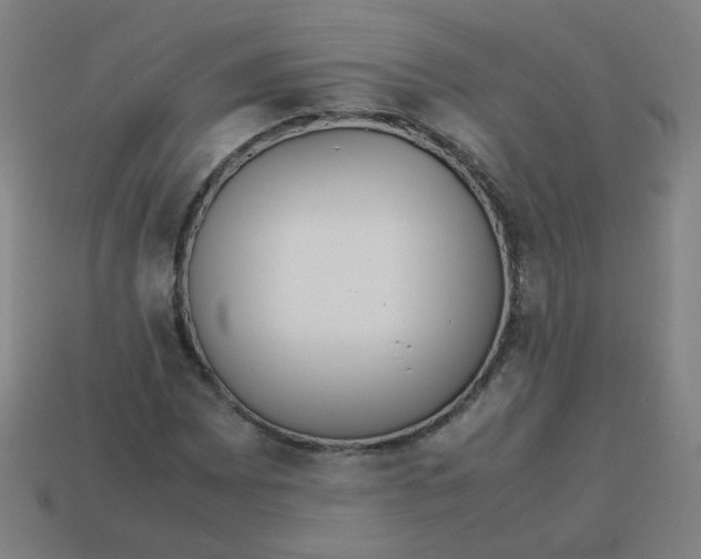 X0000113241065200910081253
