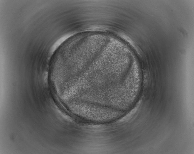 X0000113241066200910081253