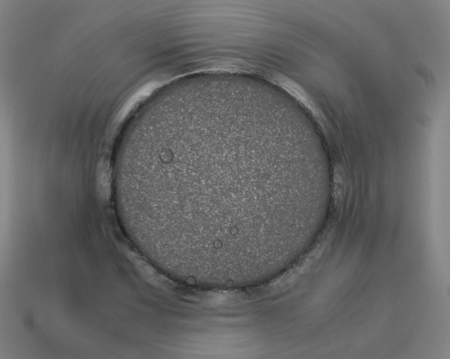 X0000113241067200910081253