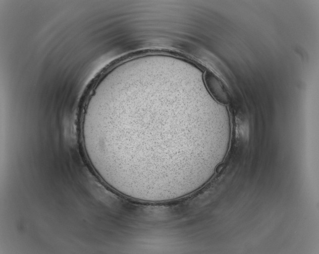 X0000113241068200910081253