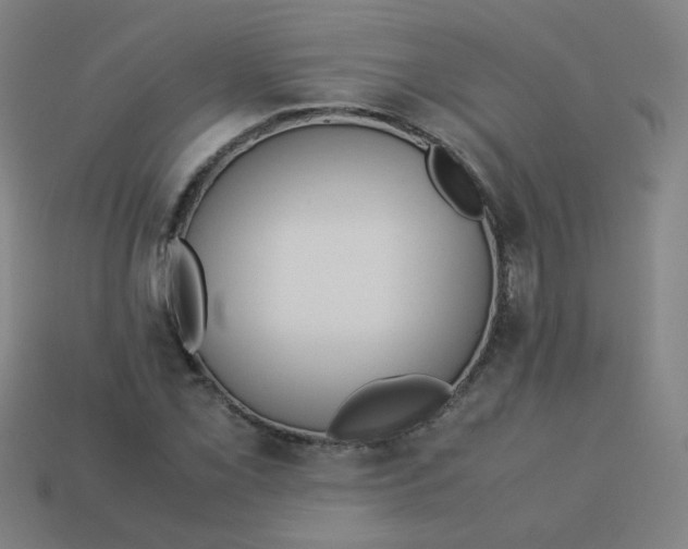 X0000113241069200910081253