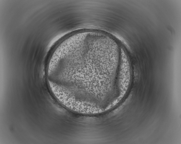 X0000113241070200910081253