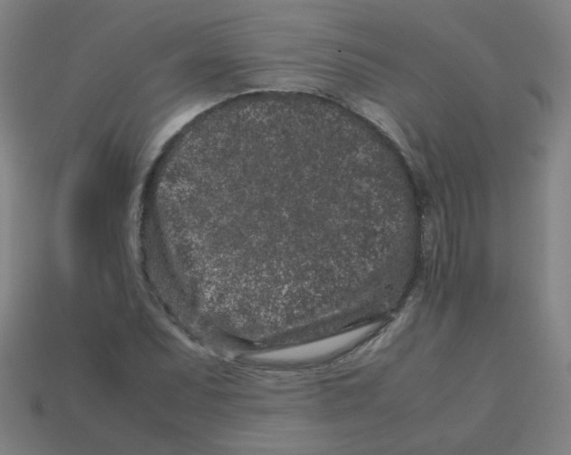 X0000113241071200910081253