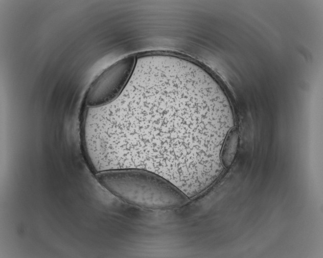 X0000113241072200910081253