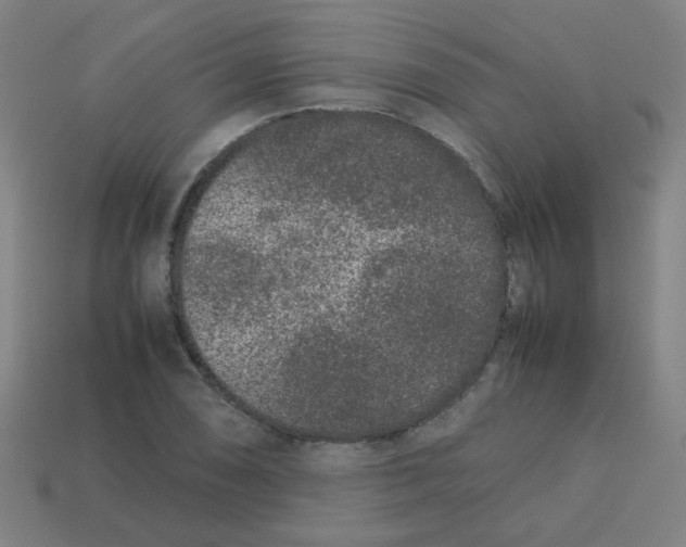 X0000113241074200910081253