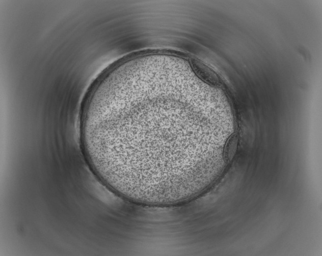 X0000113241076200910081253