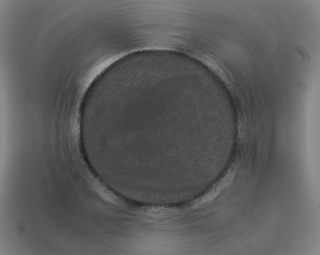 X0000113241077200910081253
