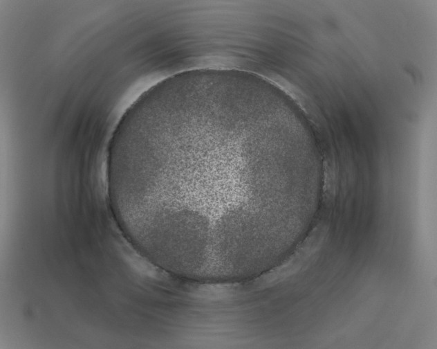 X0000113241078200910081253