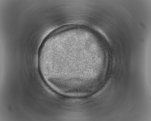 X0000113241079200910081253