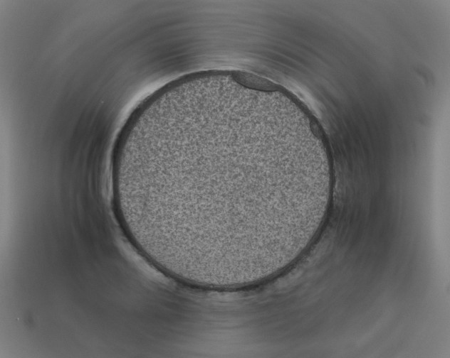 X0000113241080200910081253
