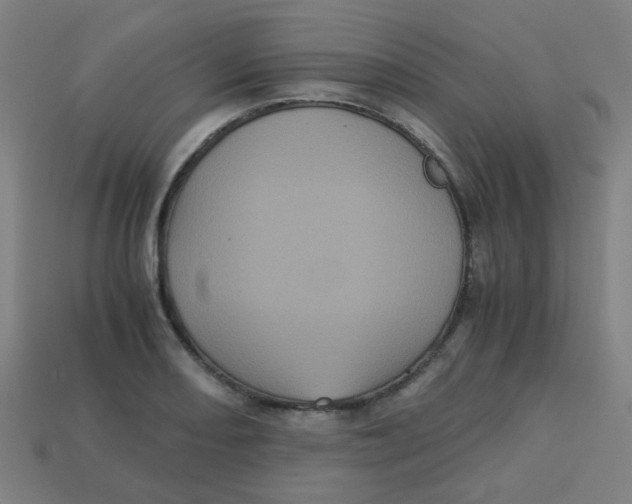 X0000113241082200910081253